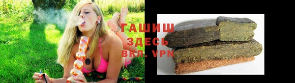 стаф Балахна