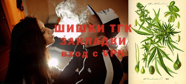 стаф Балахна